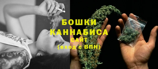 крисы Киренск